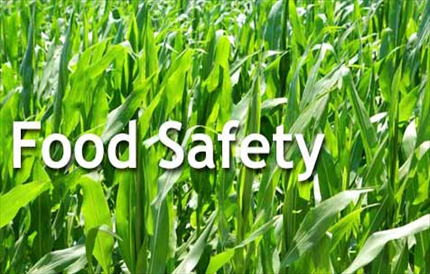 home-page-food-safety